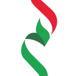 Amer service logo used in comparison with Tasheel and typing center services