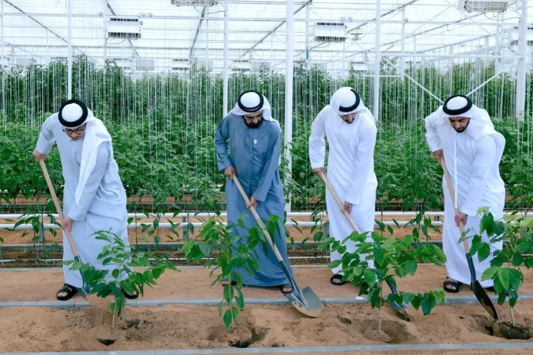 SectorUpdate_FoodReport_Web - 01080 (1)