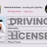 UAE driving license visual used for Sharjah renewal guidance