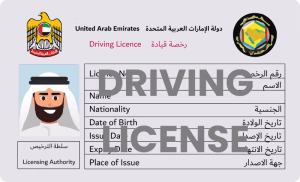 UAE driving license visual used for Sharjah renewal guidance